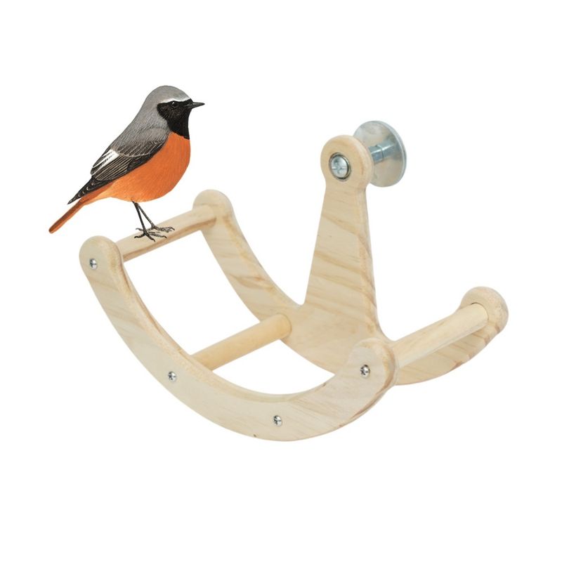 Zoomtopia Roue d'exercice pour oiseaux