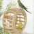 Zoomtopia Roue pour perroquet en bois