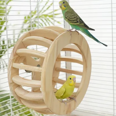 Zoomtopia Roue pour perroquet en bois
