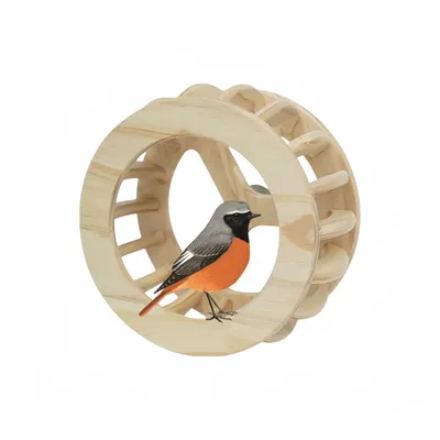 Zoomtopia Roue pour perroquet en bois Zoomtopia Roue pour perroquet en bois