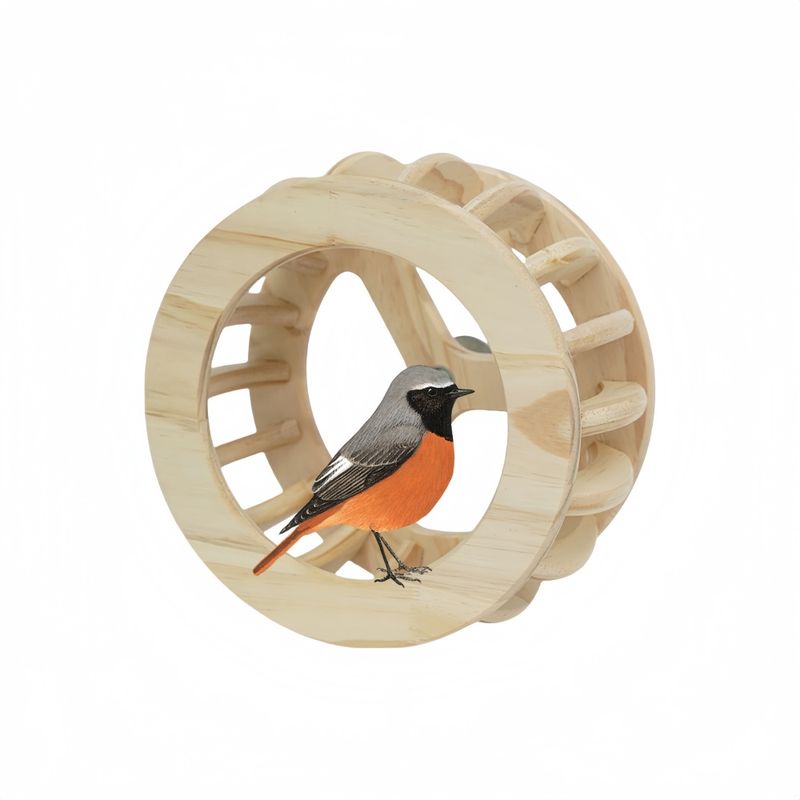 Zoomtopia Roue pour perroquet en bois