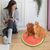 Griffoir pour chat en forme de pastèque