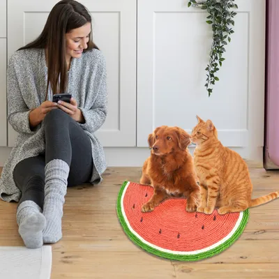 Griffoir pour chat en forme de pastèque
