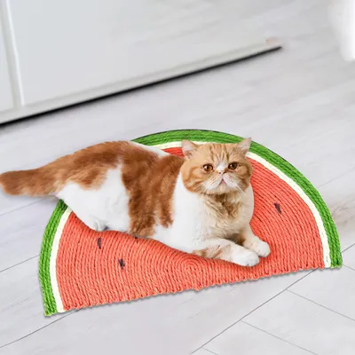 Griffoir pour chat en forme de pastèque
