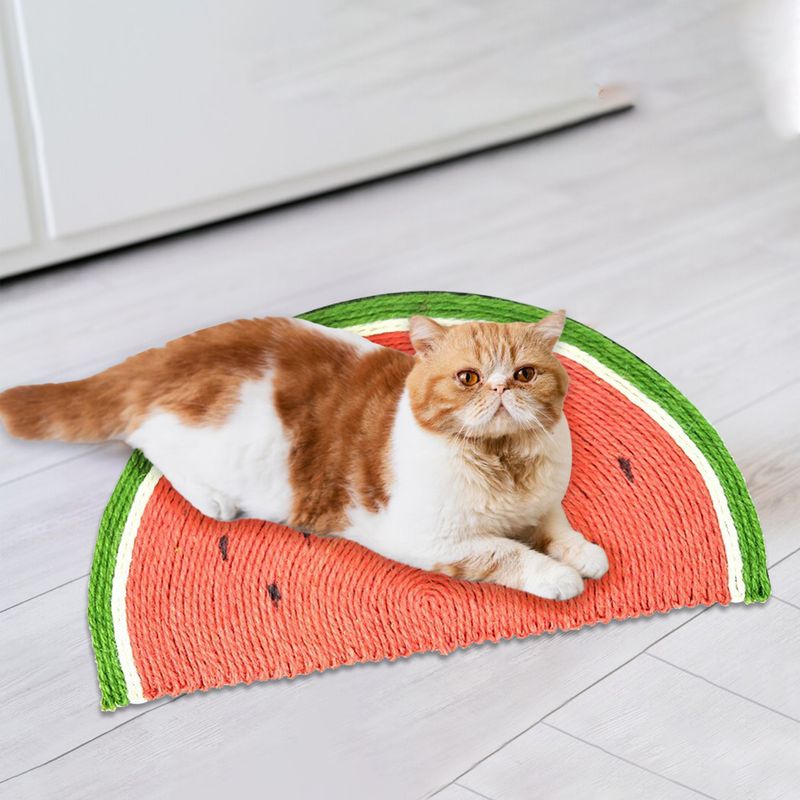 Griffoir pour chat en forme de pastèque