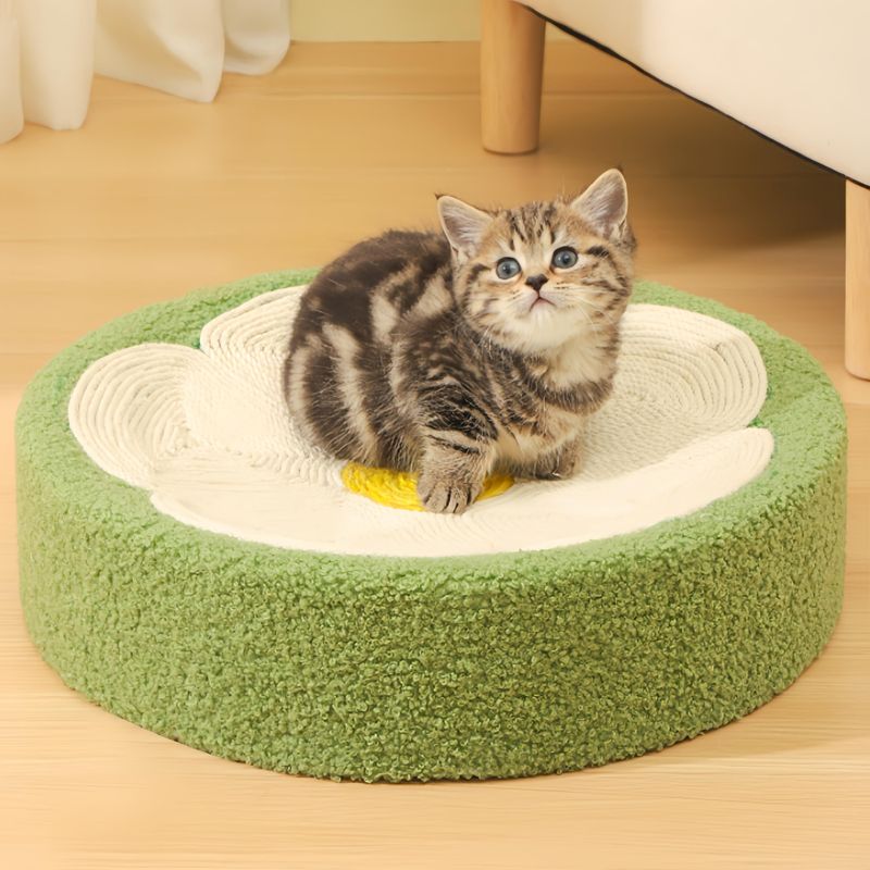 FurryFusion Griffeuse en Forme de Bol Fleuri pour Chat
