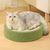 FurryFusion Griffeuse en Forme de Bol Fleuri pour Chat