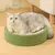 FurryFusion Griffeuse en Forme de Bol Fleuri pour Chat