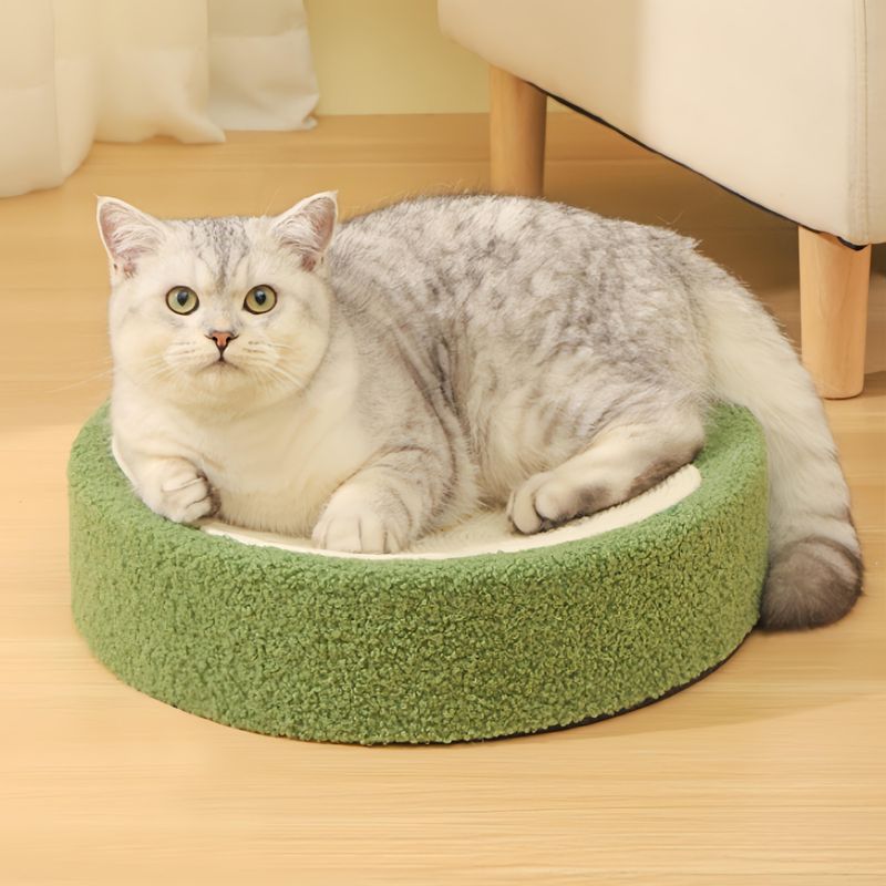 FurryFusion Griffeuse en Forme de Bol Fleuri pour Chat