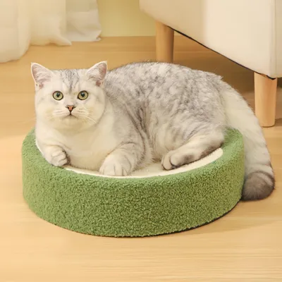 FurryFusion Griffeuse en Forme de Bol Fleuri pour Chat