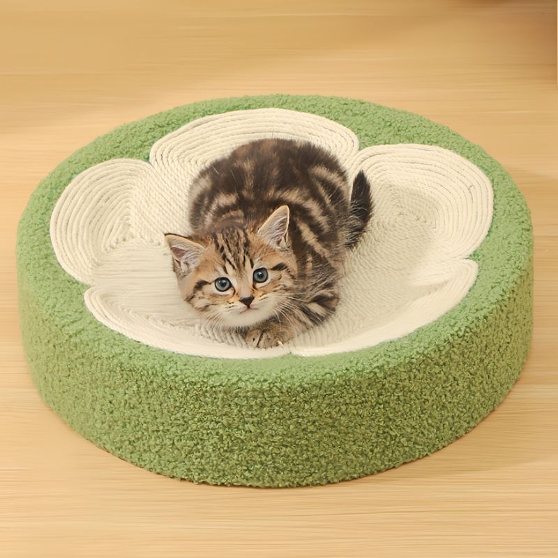 FurryFusion Griffeuse en Forme de Bol Fleuri pour Chat