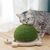 FurryFusion Griffoir pour Chat en Forme de Tortue