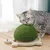 FurryFusion Griffoir pour Chat en Forme de Tortue
