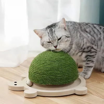 FurryFusion Griffoir pour Chat en Forme de Tortue
