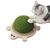 FurryFusion Griffoir pour Chat en Forme de Tortue