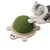 FurryFusion Griffoir pour Chat en Forme de Tortue FurryFusion Griffoir pour Chat en Forme de Tortue