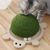 FurryFusion Griffoir pour Chat en Forme de Tortue