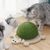 FurryFusion Griffoir pour Chat en Forme de Tortue