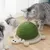 FurryFusion Griffoir pour Chat en Forme de Tortue