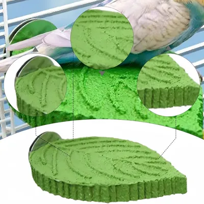 Zoomtopia Perchoir en forme de feuille pour perroquet
