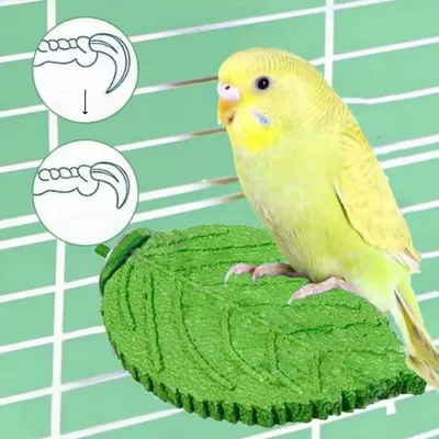 Zoomtopia Perchoir en forme de feuille pour perroquet