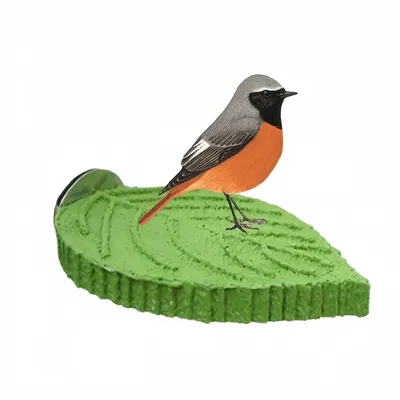 Zoomtopia Perchoir en forme de feuille pour perroquet