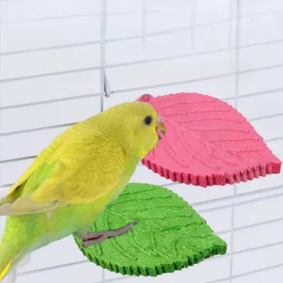 Zoomtopia Perchoir en forme de feuille pour perroquet