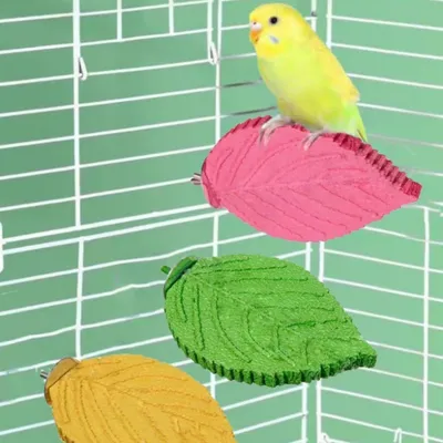 Zoomtopia Perchoir en forme de feuille pour perroquet Zoomtopia Perchoir en forme de feuille pour perroquet