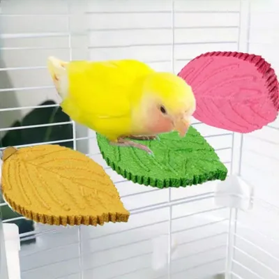 Zoomtopia Perchoir en forme de feuille pour perroquet Zoomtopia Perchoir en forme de feuille pour perroquet