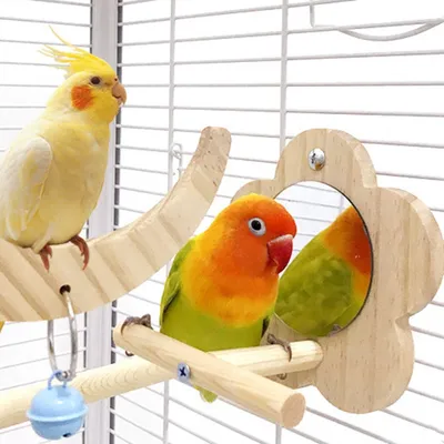 Zoomtopia Perchoir avec miroir pour cage à oiseaux