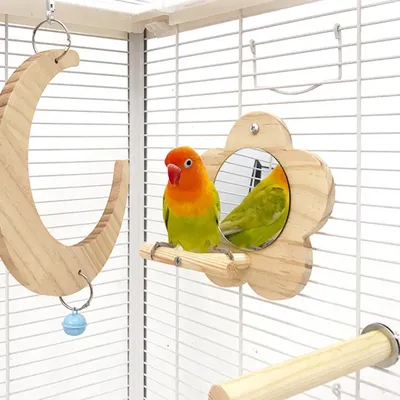 Zoomtopia Perchoir avec miroir pour cage à oiseaux