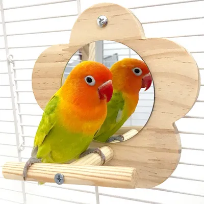 Zoomtopia Perchoir avec miroir pour cage à oiseaux
