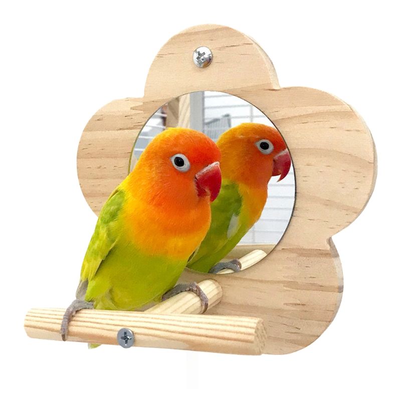 Zoomtopia Perchoir avec miroir pour cage à oiseaux