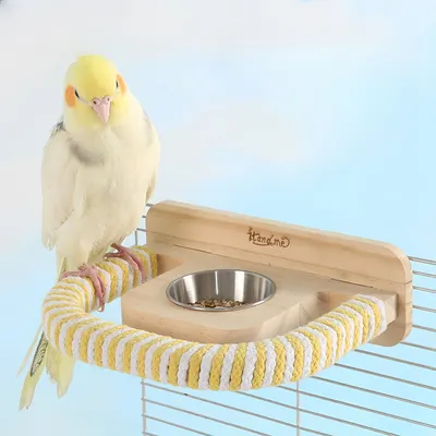 Perche à oiseaux avec boîte à nourriture