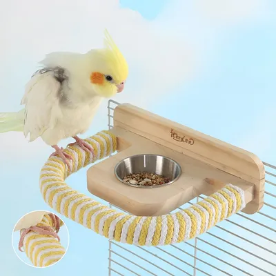 Perche à oiseaux avec boîte à nourriture