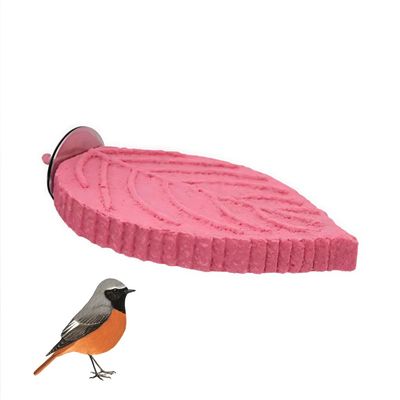 Zoomtopia Perchoir en forme de feuille pour perroquet
