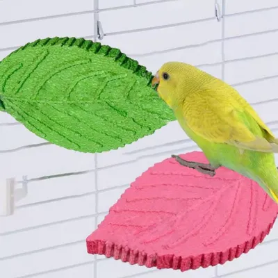 Zoomtopia Perchoir en forme de feuille pour perroquet