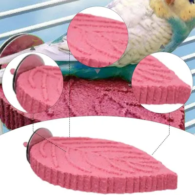 Zoomtopia Perchoir en forme de feuille pour perroquet