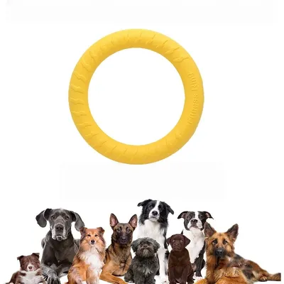Zoomtopia Anneau pour chien