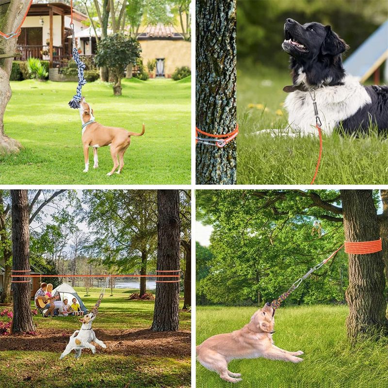 IntiMeg Jouet de traction en coton pour chien extérieur