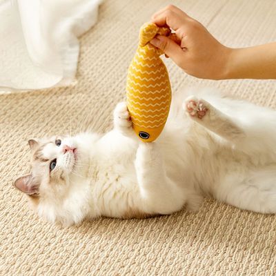 Zoomtopia Jouet d'herbe à chat en forme de poisson