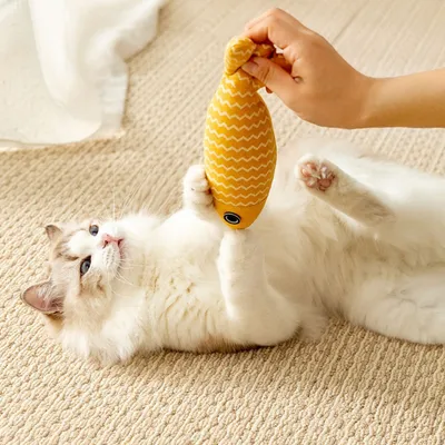 Zoomtopia Jouet d'herbe à chat en forme de poisson