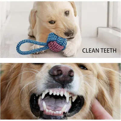 Jouets à mâcher pour chiots, jouets en corde