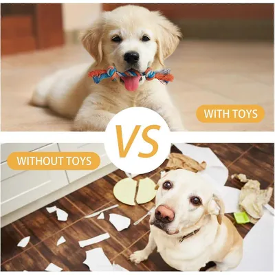 Jouets à mâcher pour chiots, jouets en corde