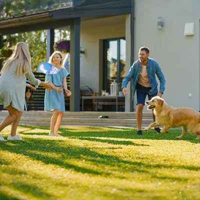 Zoomtopia Tapis à renifler pour chiots et petits chiens
