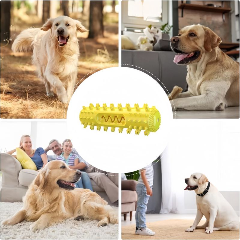 Pawzy Jouet à mâcher pour chien