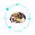Pawzy Jouet à mâcher pour chien