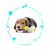 Pawzy Jouet à mâcher pour chien
