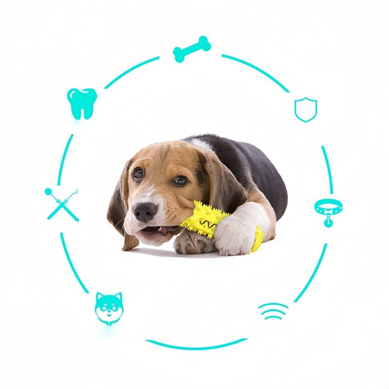 Pawzy Jouet à mâcher pour chien