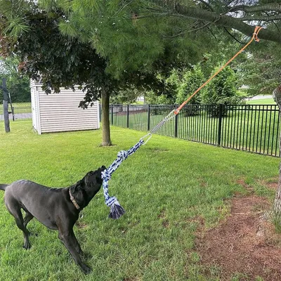 IntiMeg Jouet de traction en coton pour chien extérieur